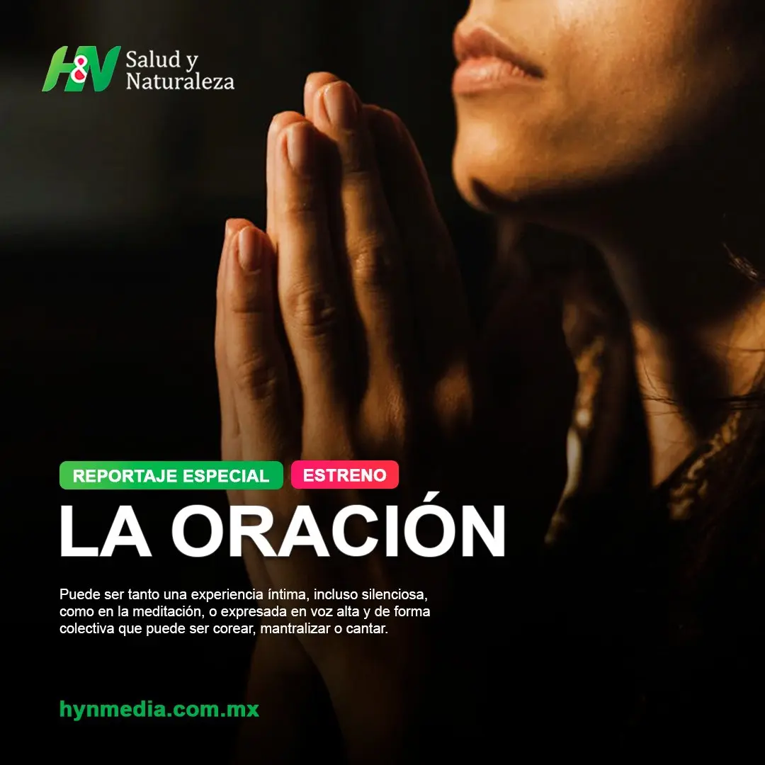 Diseño de promocionales de H&N Salud y Naturaleza diseñado por RAFA3LBM